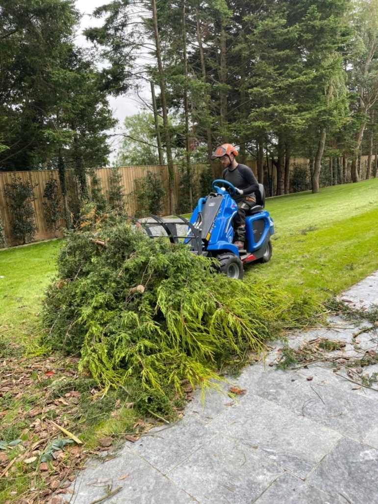 MultiOne mini loader 1 series with silage fork