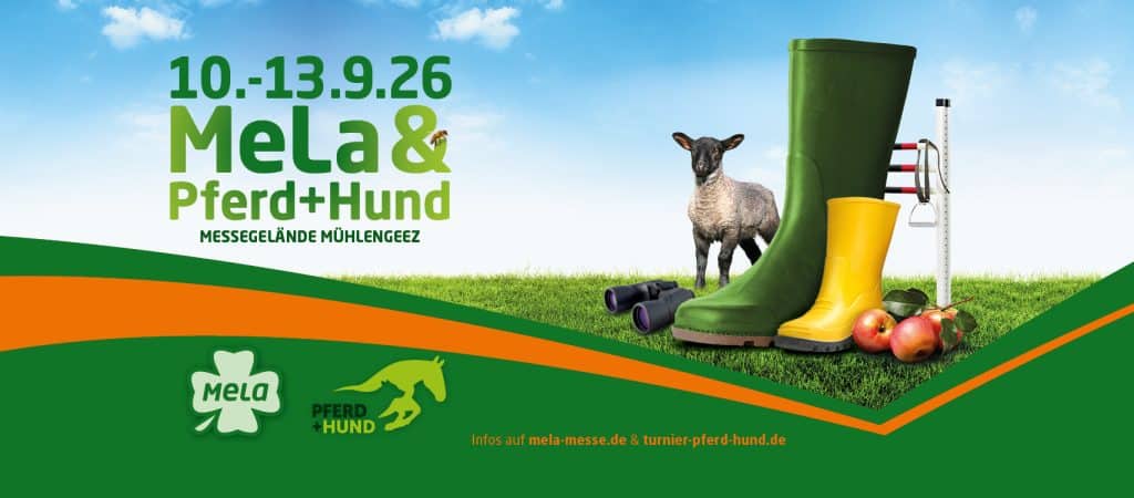 Events - Multione